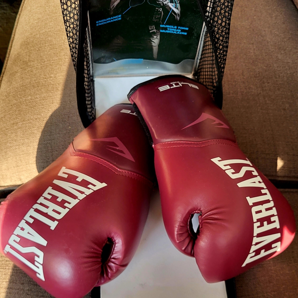 Everlast Maroon Boxing Gloves